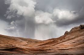 Pheromone trail convergence